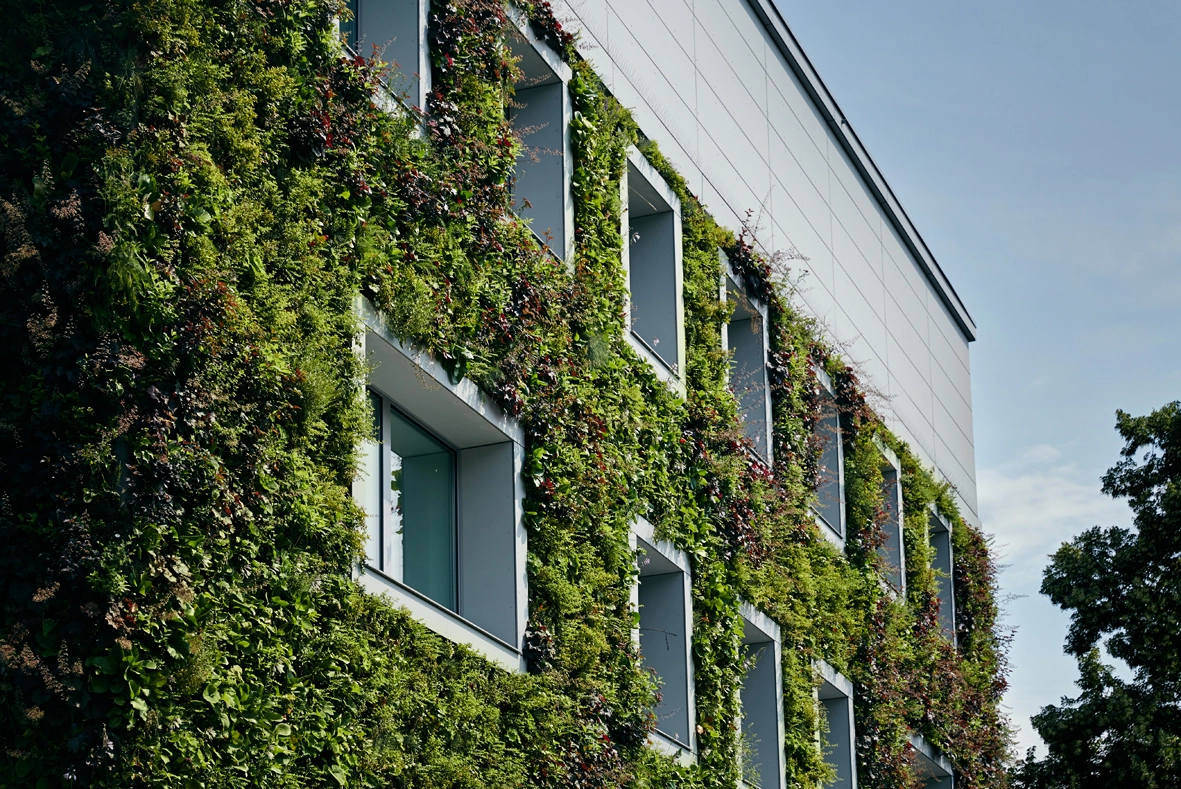 Bringing premium green roof systems to the UK market visual 3